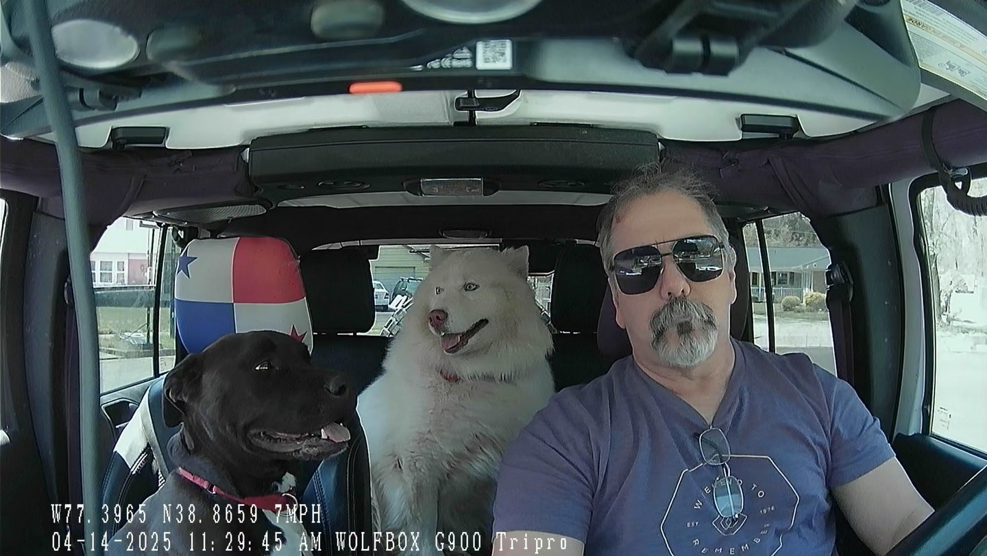 The Wolfbox G900 TriPro recorded the driver and his dogs