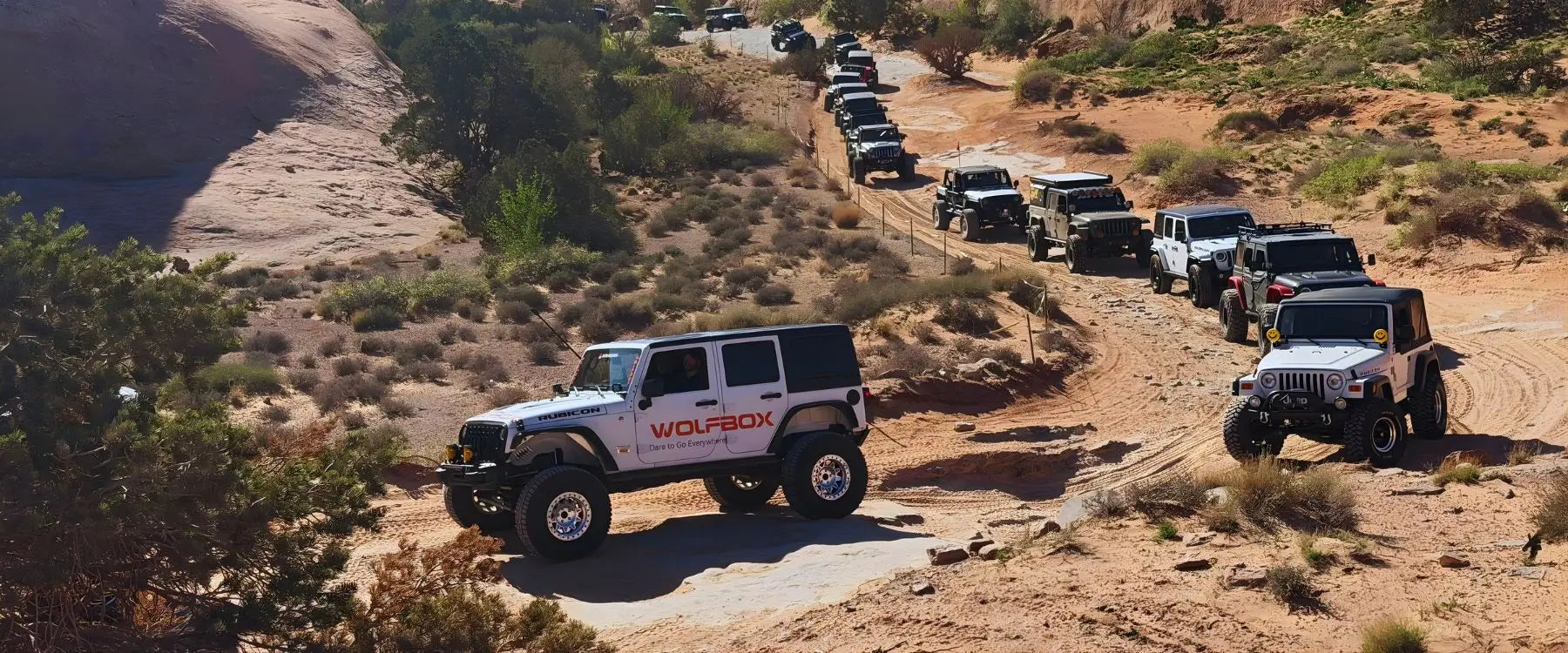 Convoy of off-road Jeeps led by WOLFBOX-branded vehicle on Moab desert trail
